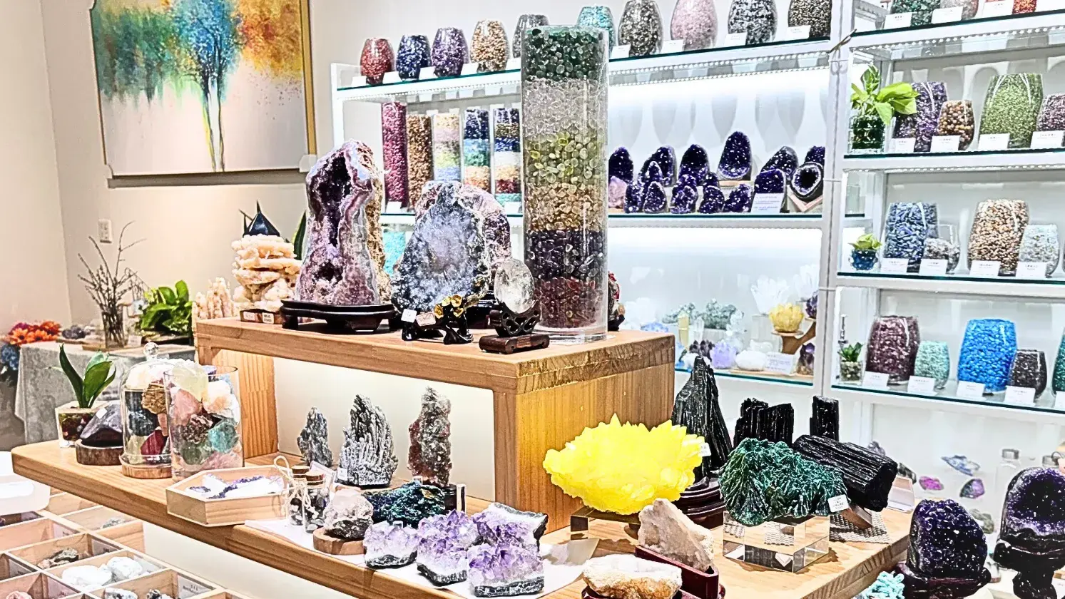 寶寶聚屏東分店