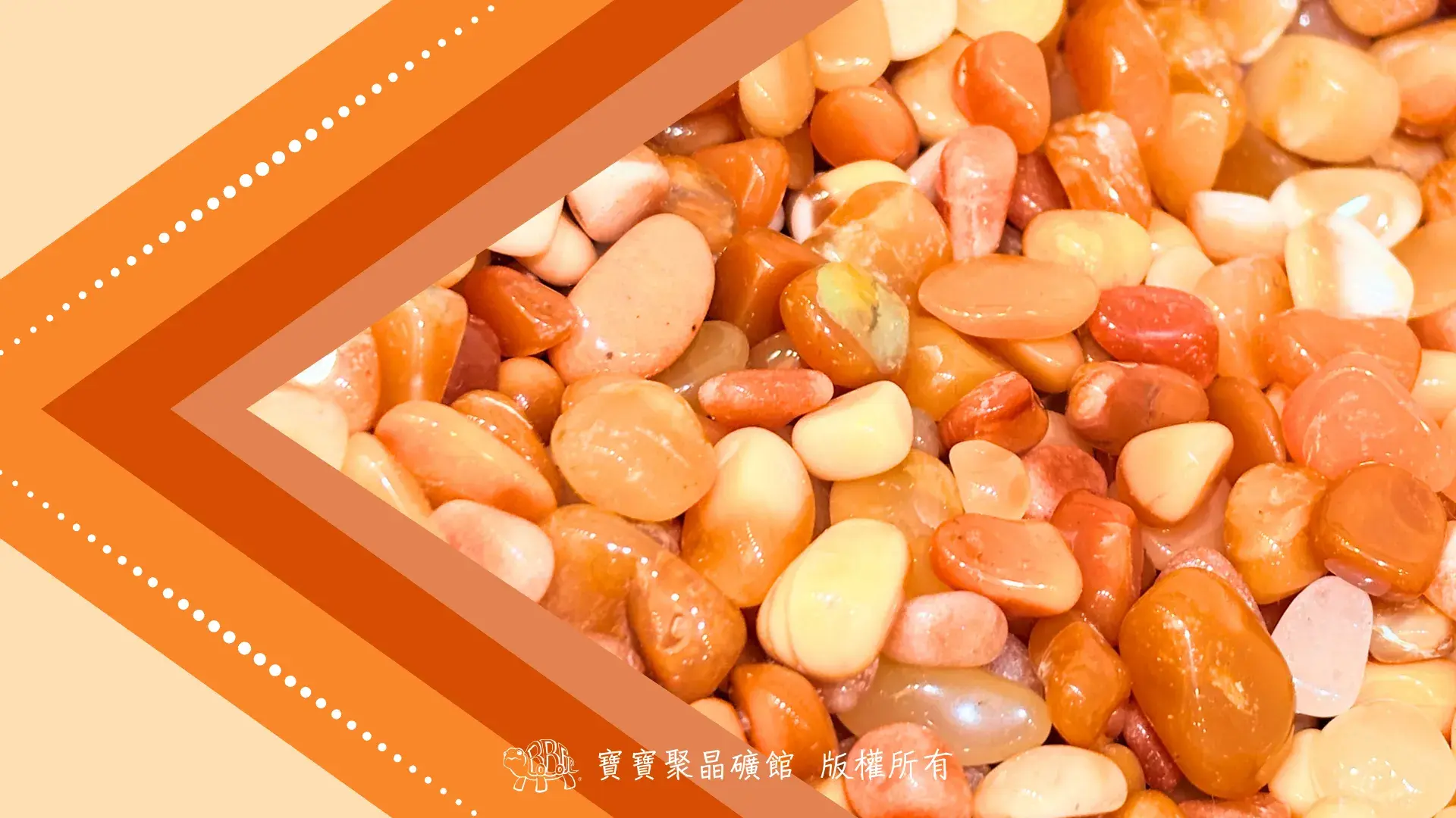橙東菱玉