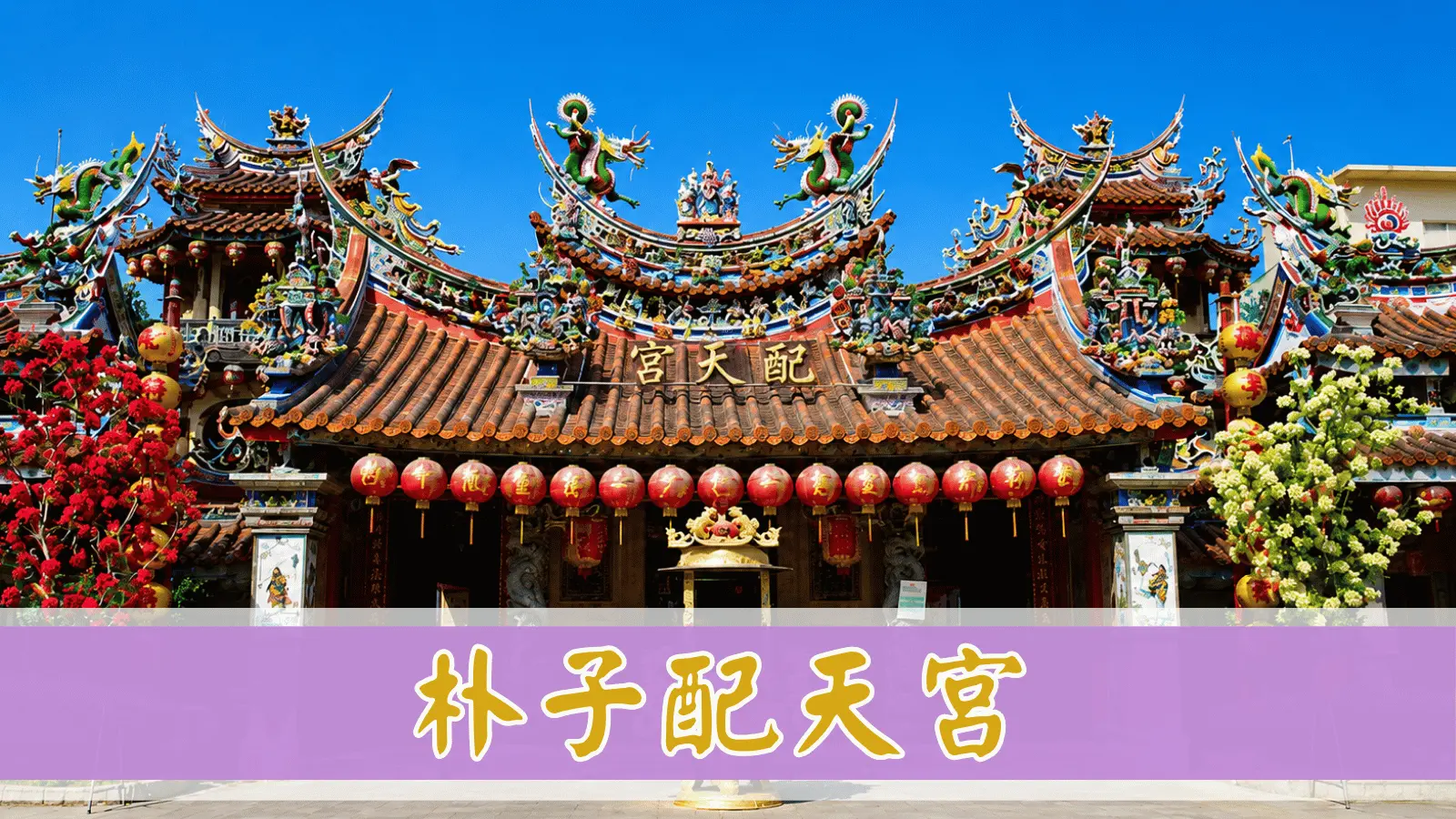 合作夥伴