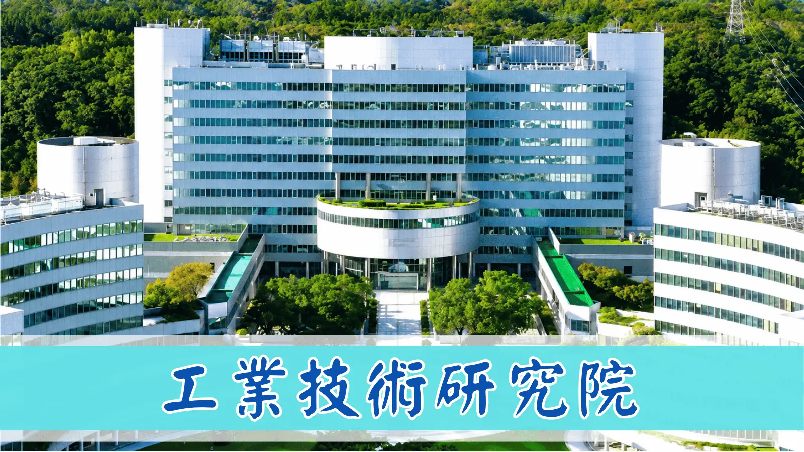 合作夥伴